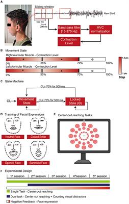 Human-machine interface for two-dimensional steering control with the auricular muscles